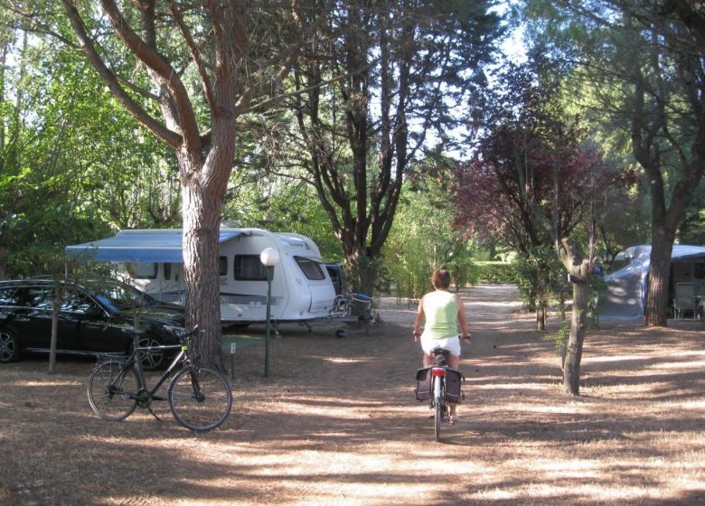 LE REBAU CAMPSITE