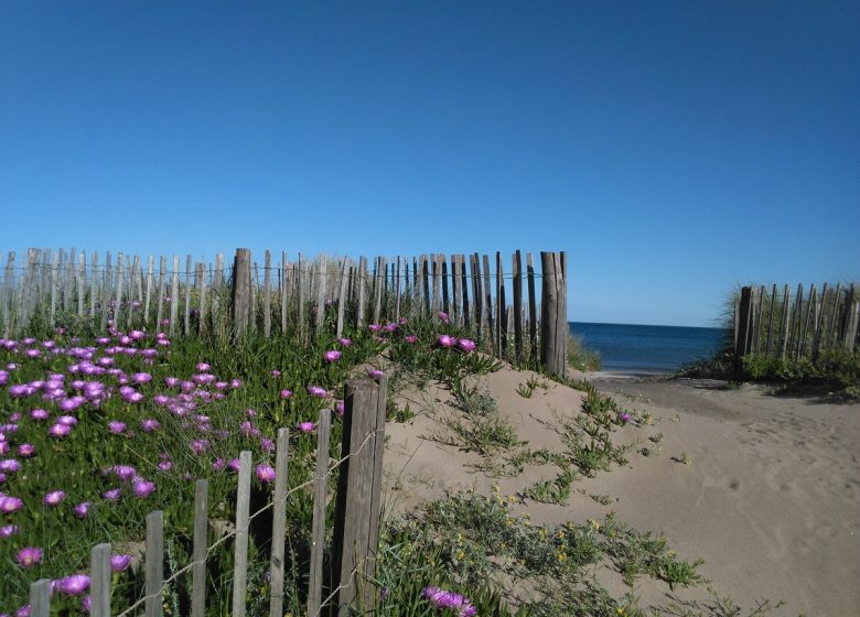 EN 1ERE LIGNE  ET ACCÈS DIRECT A LA PLAGE AU “FLOTS BLEUS” A VALRAS-PLAGE