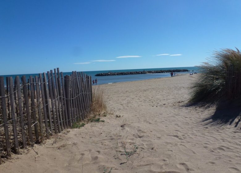 EN 1ERE LIGNE  ET ACCÈS DIRECT A LA PLAGE AU “FLOTS BLEUS” A VALRAS-PLAGE