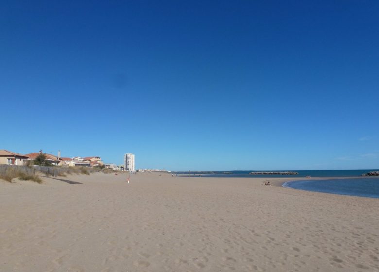 EN 1ERE LIGNE  ET ACCÈS DIRECT A LA PLAGE AU “FLOTS BLEUS” A VALRAS-PLAGE