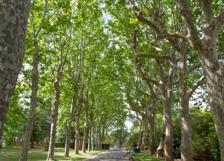 JARDIN DE LA PLANTADE ET MOULINS CORDIER