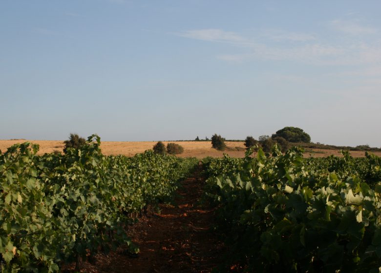 DOMAINE DE LA BARTHE