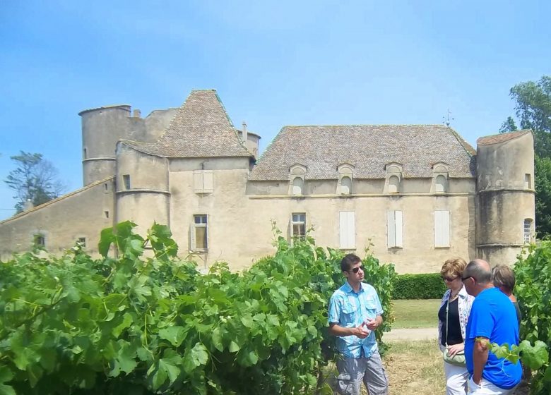 CHATEAU DE PERDIGUIER