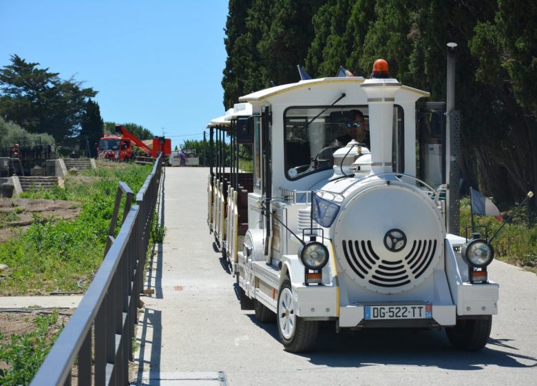 LE PETIT TRAIN TOURISTIQUE DE BEZIERS/VEOLIA TRANSPORT – BMT (RÉSEAU BUS URBAIN)