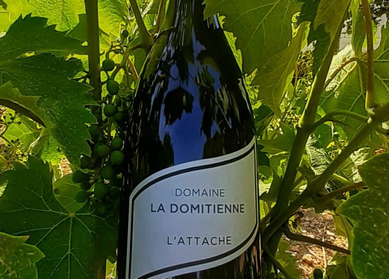 DOMAINE LA DOMITIENNE