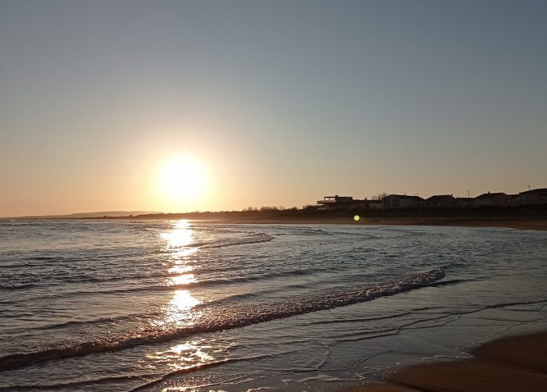 EN 1ERE LIGNE  ET ACCÈS DIRECT A LA PLAGE AU “FLOTS BLEUS” A VALRAS-PLAGE