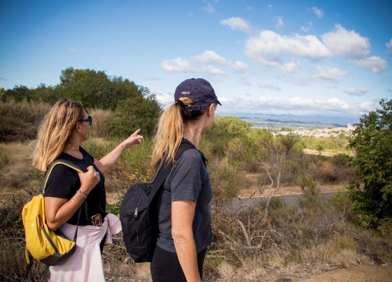 OENORANDO® LES HAUTS DE CORNEILHAN