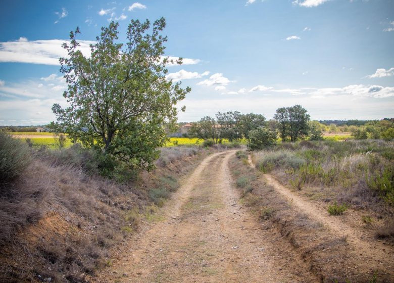 OENORANDO® LES HAUTS DE CORNEILHAN