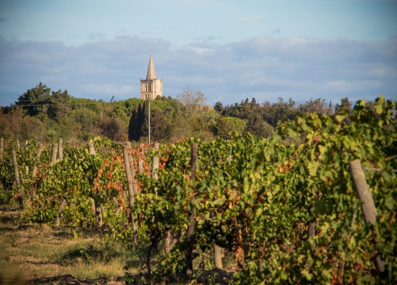 LA PASSEJADE DEL CRES WALK